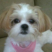 Bess04s foto