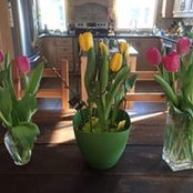 Annie Coutu's photo