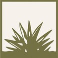 Strata Landscape's profile photo