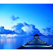 Beverly Maxfield's photo