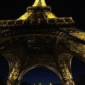 Matthew Fabiano's photo