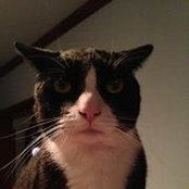 Kathy Lieter's photo