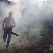 David Haljárszky's photo