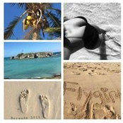 Simone Jenkins's photo