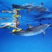 Anna Bennett's photo