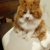 Mel Renner-Smith's photo