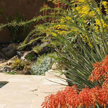 Mediterranean Garden