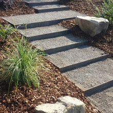 Paths