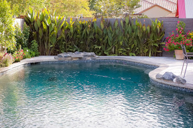 Pool landscaping - 1960s backyard stone and kidney-shaped pool landscaping idea in Dallas