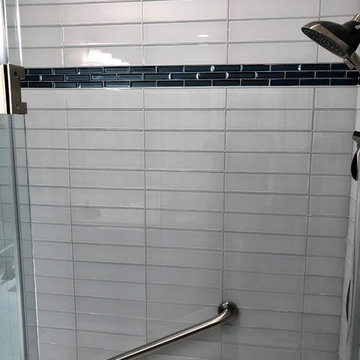 Cordova IL Master Bath Remodel Dura Supreme Hudson Gale Force Cambria Swanbridge