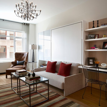 Brooklyn Heights Eclectic, Transitional Design + Furnish - Studio Apartment