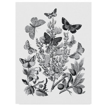 Wild Apple Portfolio 'Butterfly Bouquet II Linen Bw II' Canvas Art