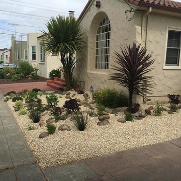 Dry Succulent Garden
