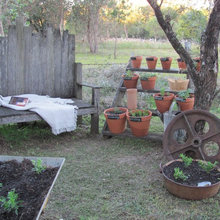 Garden/Planting Ideas