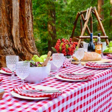 Picnic in the redwood forest