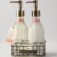 anthropologie
