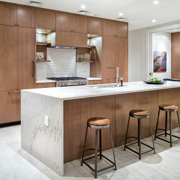 Austonian Private Residence