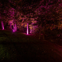 All Seasons Display - Landscape Lighting