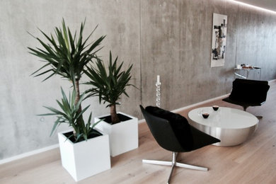 Inspiration for a medium sized modern open plan living room in Stuttgart with grey walls and medium hardwood flooring.