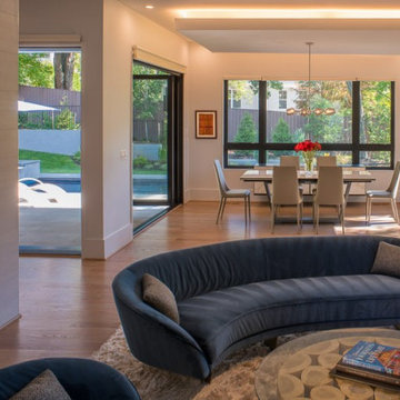 Modern Solar Home - Arlington, VA