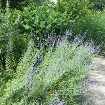 Half-Acre Garden in Towson, MD