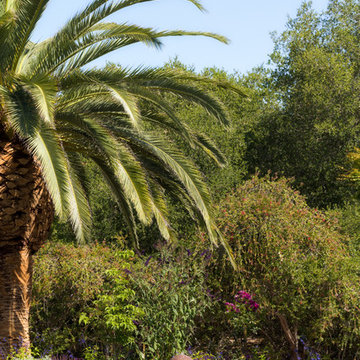 Los Altos, Ca | Divine Nature Landscape Design | Slice of Heaven