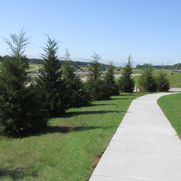 Commercial Projects