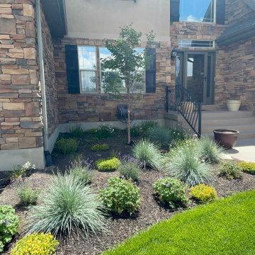 Highland enhancement, xeriscape planting