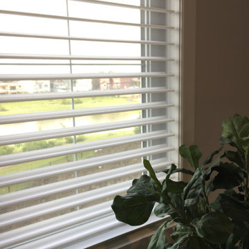 Window Treatments