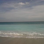 Cheri Rosenstein's photo