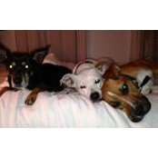 Kate Ingram's photo