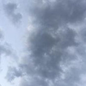 David Wauthy's photo