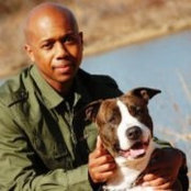 Jarvis Wards foto