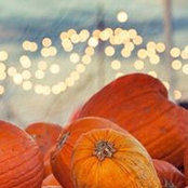 Suzie Bauer's photo