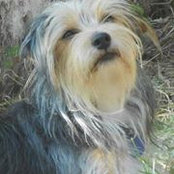 Janice Scribner's photo