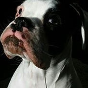 Foto von Riley Wallbank