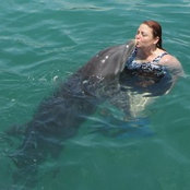 Tracey Lewis's photo