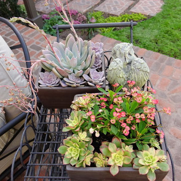 CONATAINER GARDENS BRING LIFE TO PLAIN PAITO, La Jolla, California