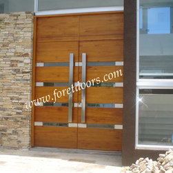 Modern front entry doors / contemporary front entry doors - Front Doors