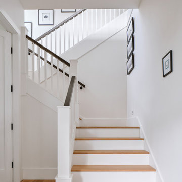 Senepol Modern Farmhouse