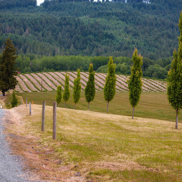 Abbey Road Bed & Breakfast Event Space and Winery