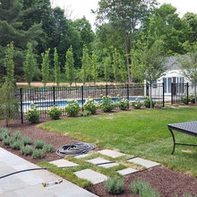 Swimming Pool Fence
