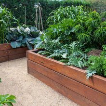 Backyard Ideas