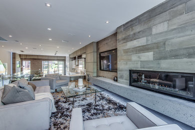 Example of a minimalist living room design in Toronto