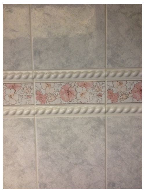 Can This Tile Border Be Painted, How To Install Mosaic Tile Border In Shower