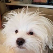 Kathy Coldewey's photo
