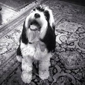 Greta Ruppel's photo