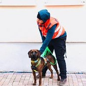 Annika Dybowski's photo