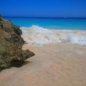 Foto von Barbara-ann Alleyne