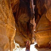 Holly Steuerwald's photo